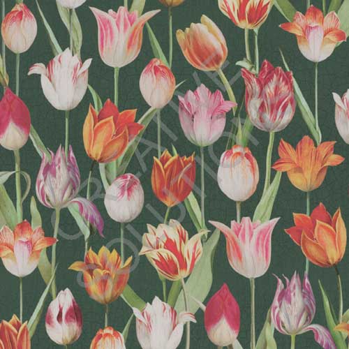 2.171031.1031.545 - Tulip Painting